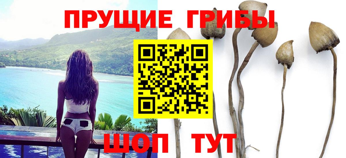 Псилоцибиновые грибы прущие грибы Лангепас